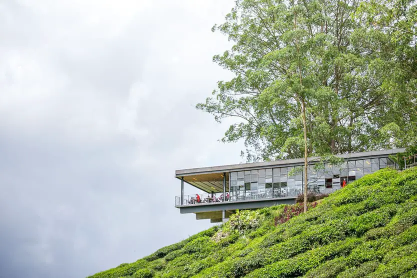 BOH Tea Center, Cameron Highlands