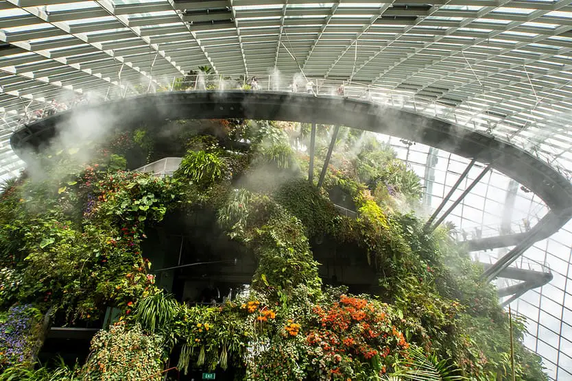 Cloud Forest Singapore
