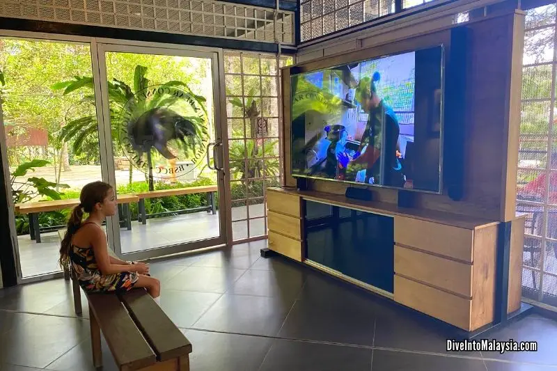 Bornean Sun Bear Conservation Centre gift shop with educational video