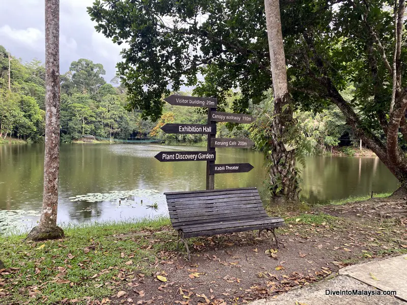 lake area at Sandakan Rainforest Discovery Centre