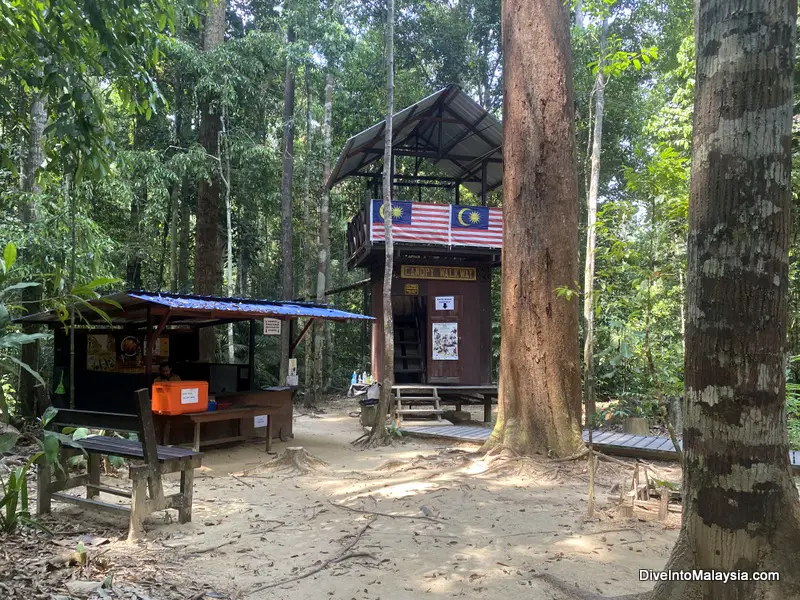 Taman Negara Canopy Walk start building