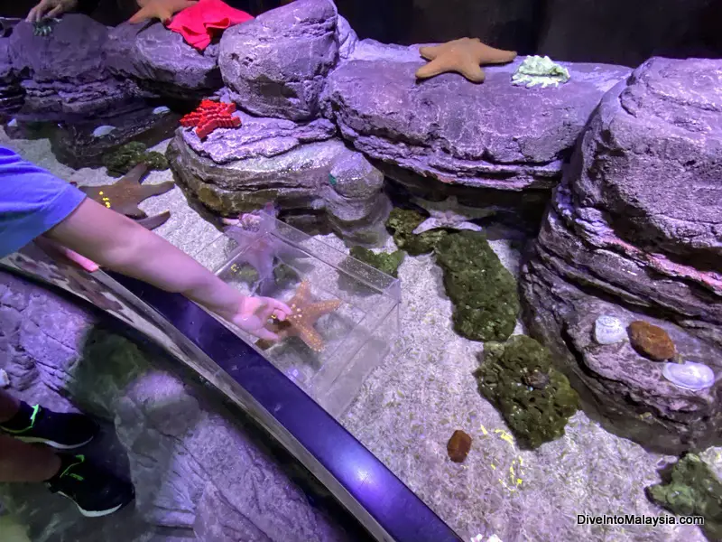 Legoland Malaysia SEA LIFE touch tank