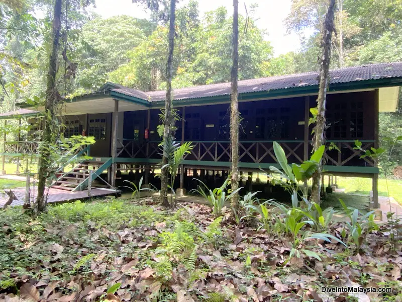 Longhouse mulu national park accommodation