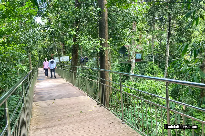 Bornean Sun Bear Conservation Centre walkway