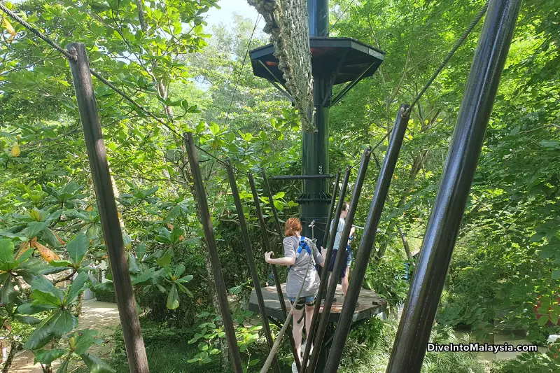 Escape Penang Treetop adventures